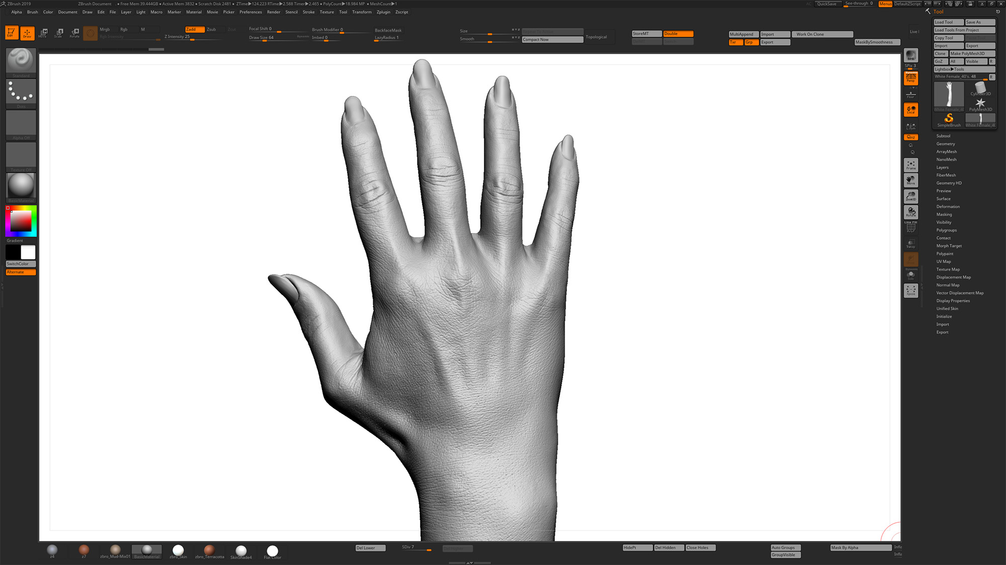 Zbrush 3D 40's Hand model White Female scan in 